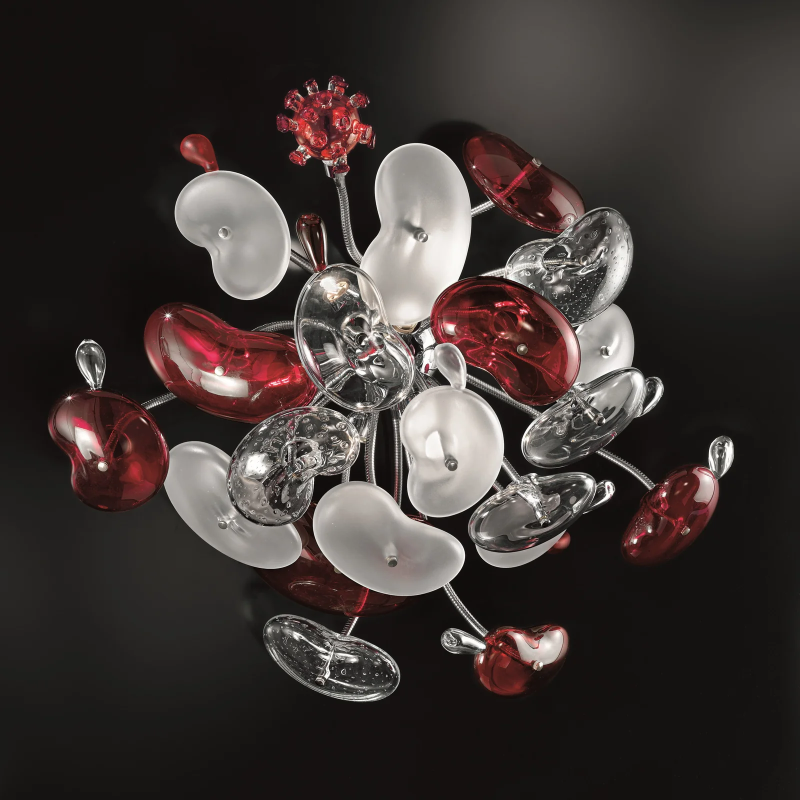 cosmospora_a8_p8_1600x