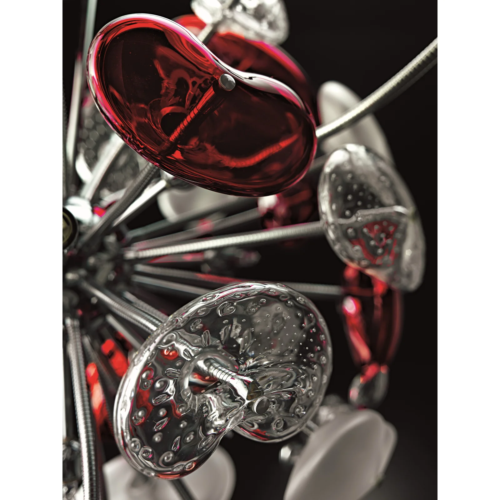 cosmospora_part2_dd9cc189-3917-4d96-84e4-01cfaa87aa49_1600x